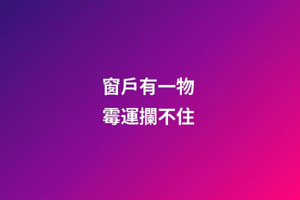 窗戶有一物 霉運攔不住